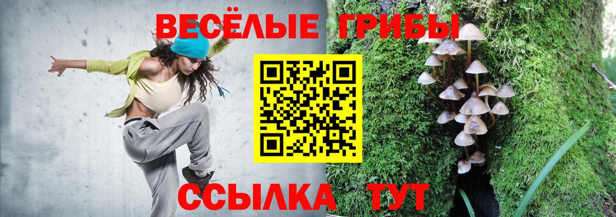 Псилоцибиновые грибы Psilocybine cubensis  Вход с VPN  Керчь  Галлюциногенные грибы GOLDEN TEACHER 